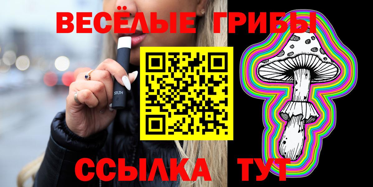 Новоалександровск  Галлюциногенные грибы Psilocybe  Вход с VPN 